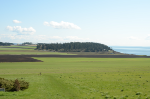 ebey-plateau-and-beach