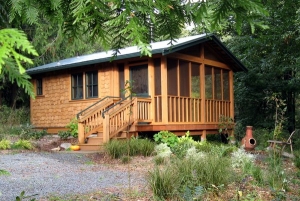 cabin-in-autumn